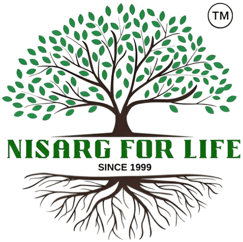 Nisarg Institute Logo
