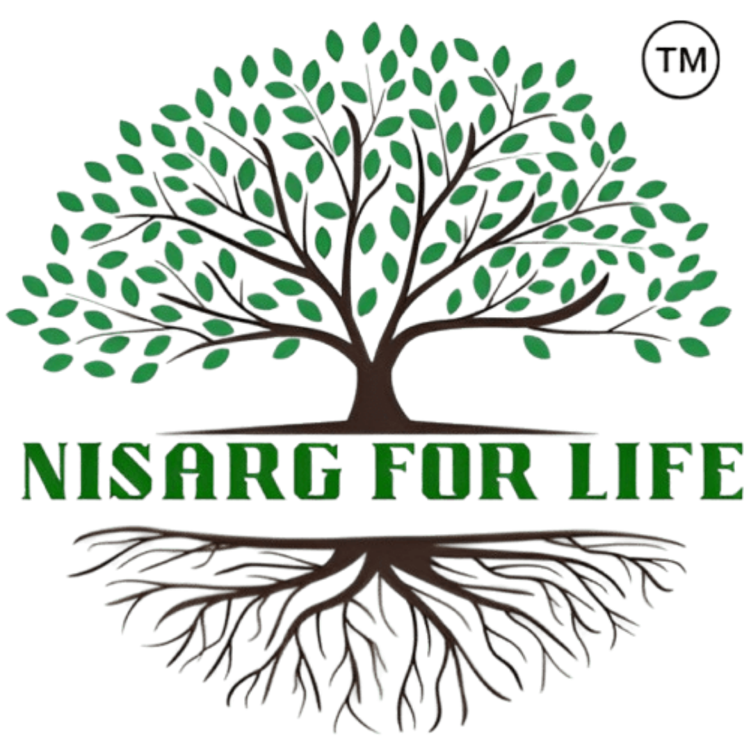 Nisarg Institute Logo