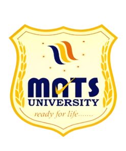 MBA in Business Analytics (MATS University)