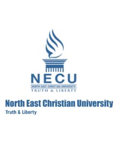 MBA in Business Analytics (North East Christian University)
