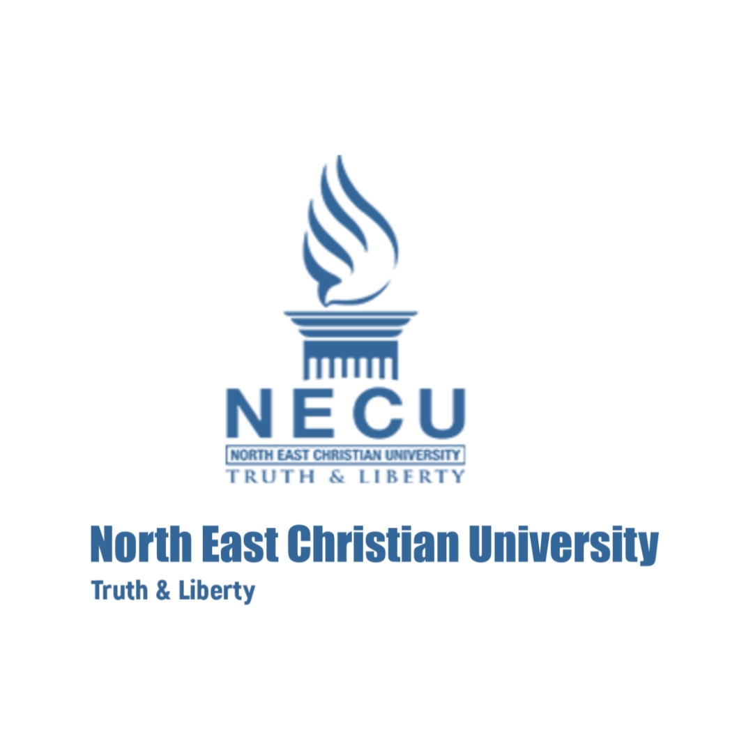B Tech  in Information Technology (North East Christian University)
